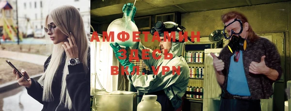 прущие грибы Балахна