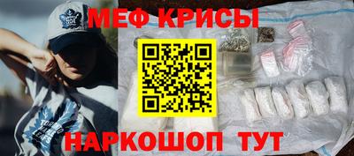 индика Кингисепп
