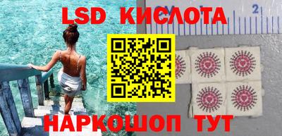 СК Кимры