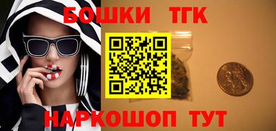 индика Кингисепп