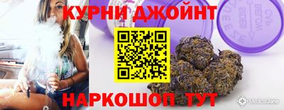 индика Кингисепп