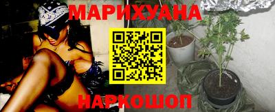индика Кингисепп