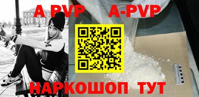 индика Кингисепп