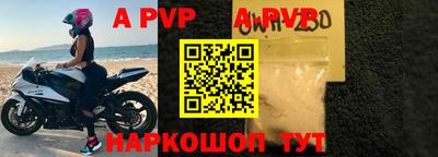 индика Кингисепп