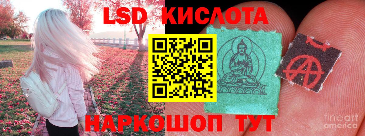 Лсд 25 экстази ecstasy Новокубанск