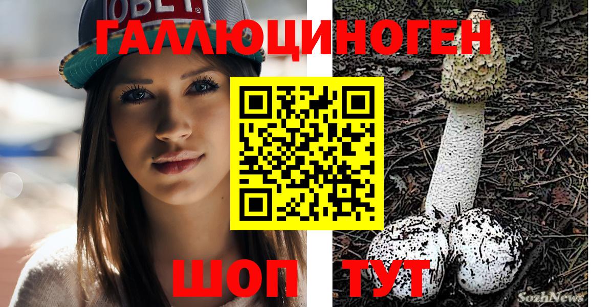 Галлюциногенные грибы ЛСД  Новокубанск  Псилоцибиновые грибы Psilocybine cubensis 