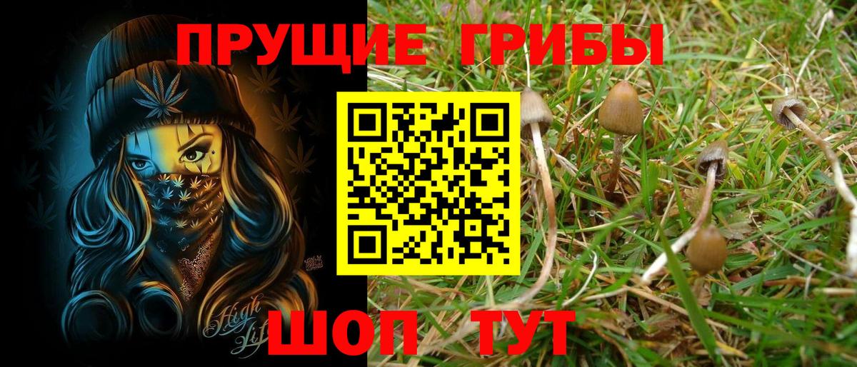 Галлюциногенные грибы мицелий Новокубанск