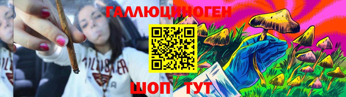 Новокубанск  Псилоцибиновые грибы прущие грибы  Галлюциногенные грибы мухоморы  Вход с VPN 