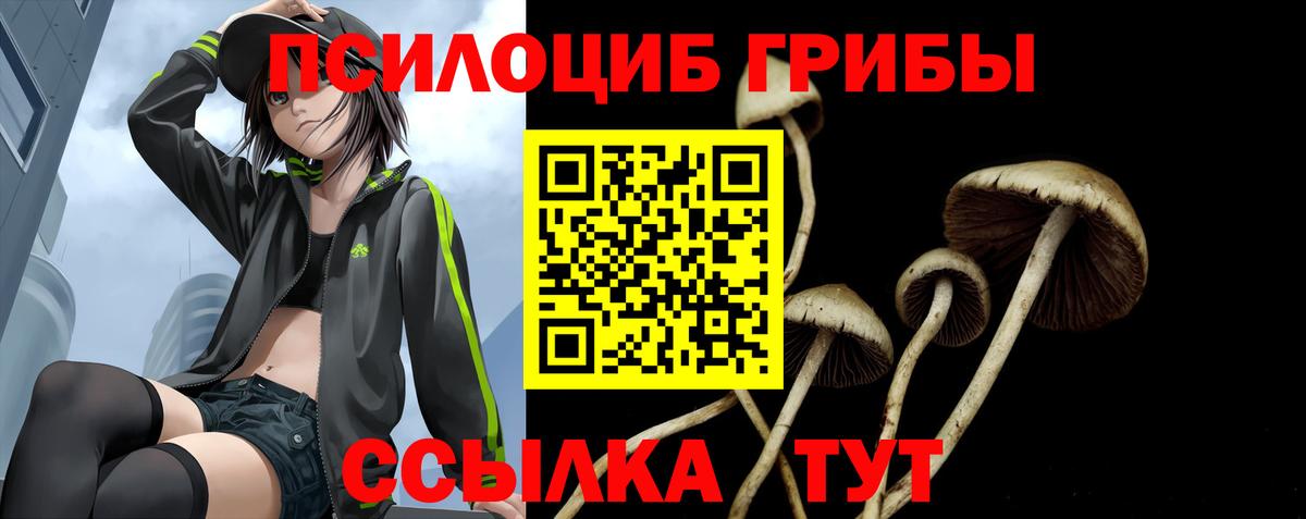 Галлюциногенные грибы GOLDEN TEACHER Новокубанск